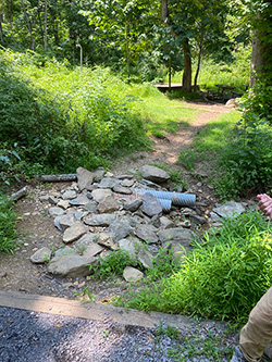 在天空梅多斯州立公園的 YCC 工作人員完成工作之前穿過溪流